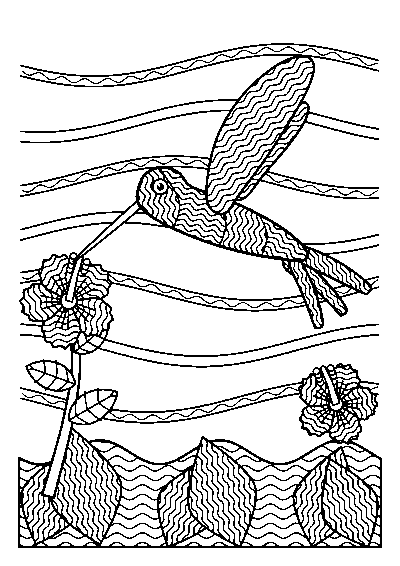 Coloriage adulte d’un colibri rempli de lignes ondulées qui butine un hibiscus, devant des rubans ondulés